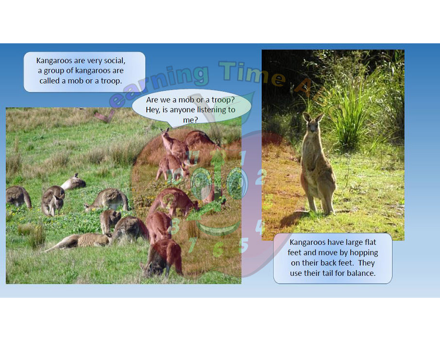 Amazing Marsupials