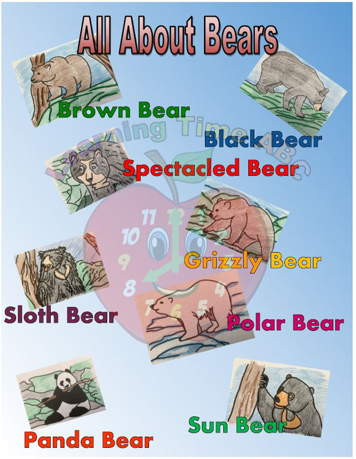 Bears Activity Unit