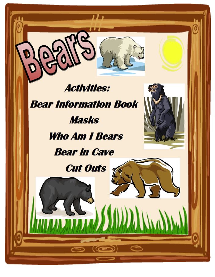 Bears Activity Unit
