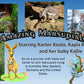 Amazing Marsupials
